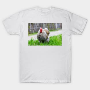 Cochin chicken T-Shirt